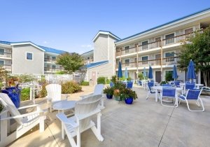untitled-design-17.jpg