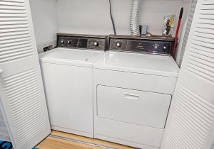 20250429-124246.jpg