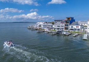 vwi-41.jpg vwi-41.jpg