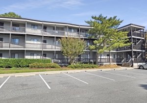 20251023-132101.jpg 20251023-132101.jpg