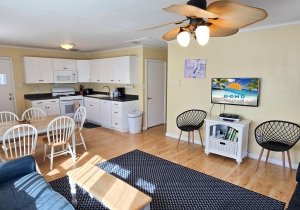 20260202-113541.jpg 20260202-113541.jpg