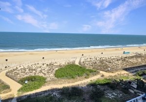 20260520-153806.jpg 20260520-153806.jpg